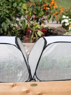 Row Shelter Accelerator -Gardeners Sale Shop 8591990 2199 tif