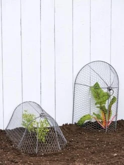 3-in-1 Chicken Wire Cloche -Gardeners Sale Shop 8592117 0188 tif