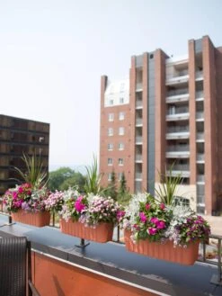 Adjustable Self-Watering Railing Planter, 24" -Gardeners Sale Shop 8592173TC 2383 tif