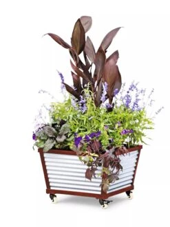 Galvanized Self-Watering Planters -Gardeners Sale Shop 8592176 5067 tif
