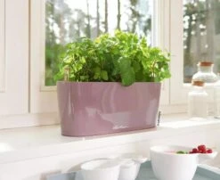 Lechuza® Delta Self-Watering Windowsill Planters -Gardeners Sale Shop 8592361 01V tif