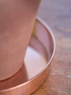 Extra Small Round Copper Plant Tray, 8" -Gardeners Sale Shop 8593528 4529 tif
