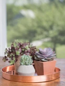 Large Round Copper Plant Tray, 14" -Gardeners Sale Shop 8593531 4518 tif