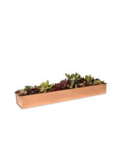Rectangular Copper Plant Tray, 18"x4" -Gardeners Sale Shop 8593532 2892 tif