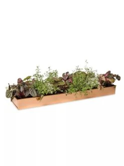 Rectangular Copper Plant Tray, 24" X 5" -Gardeners Sale Shop 8593533 2878 tif