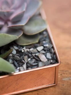 Rectangular Copper Plant Tray, 24" X 5" -Gardeners Sale Shop 8593533 4570 tif