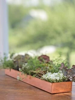 Rectangular Copper Plant Tray, 24" X 5" -Gardeners Sale Shop 8593533 4626 tif