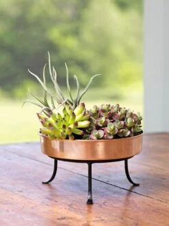 Extra Small Round Copper Plant Tray, 8" -Gardeners Sale Shop 8593564 4641 001E tif