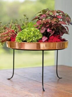 Large Round Copper Plant Tray, 14" -Gardeners Sale Shop 8593567 4636 tif