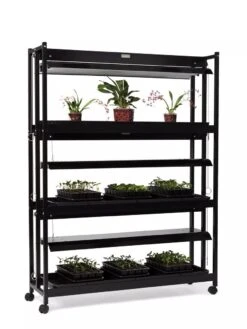High Intensity 3-Tier SunLite® Garden 11 High Intensity 3-Tier SunLite® Garden -Gardeners Sale Shop 8593944 1608 tif