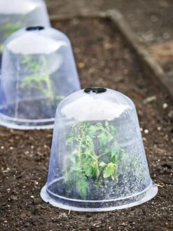 Large Garden Cloches, Set Of 3 -Gardeners Sale Shop 8593984 9432 tif