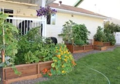 OLT Raised Cedar Garden Bed, 3' X 6' -Gardeners Sale Shop 8594002 03V tif