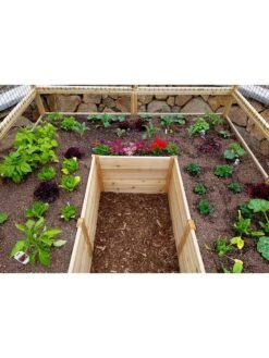 Garden In A Box With Deer Fence, 8' X 12' -Gardeners Sale Shop 8594021 04V 3 4