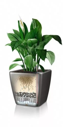 Lechuza® Quadro LS Premium Self-Watering Square Planters -Gardeners Sale Shop 8594096 05V tif