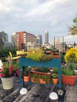 Demeter Mobile Planter Cart -Gardeners Sale Shop 8594148 01CUST tif