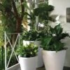 Dot TruDrop Self-Watering Planters