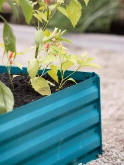 Demeter Corrugated Metal Raised Bed, 34" X 68" -Gardeners Sale Shop 8594183 470 tif 1