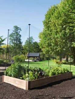 Protection Stakes For Netting, Set Of 4 -Gardeners Sale Shop 8594434 0015 tif