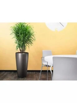 Lechuza® Rondo Self-Watering Planters -Gardeners Sale Shop 8594586 02V tif