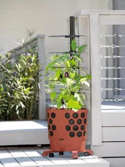 Gardener's Revolution® Tomato Planter -Gardeners Sale Shop 8594743 2618 tif