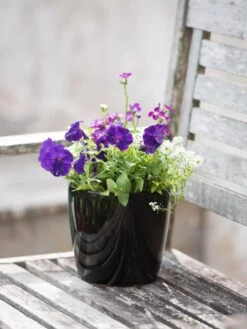 Viva Round Self-Watering Planter, 7" Diameter -Gardeners Sale Shop 8595222 1140 tif