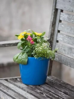 Viva Round Self-Watering Planter, 7" Diameter -Gardeners Sale Shop 8595222 1143 tif