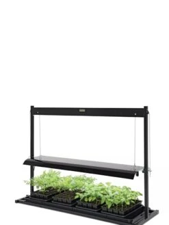 LED SunLite® Tabletop Garden -Gardeners Sale Shop 8595552 10125 tif