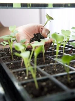 LED Stack-n-Grow Lights - Base Unit -Gardeners Sale Shop 8595770 7373 tif