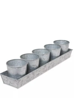 Galvanized Herb Planters With Rectangular Tray 7 Galvanized Herb Planters With Rectangular Tray -Gardeners Sale Shop 8595903 3924 tif
