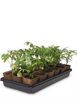 3-1/2” Square Biodegradable Pots & Tray Set -Gardeners Sale Shop 8595968 3916 tif