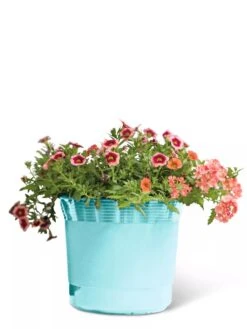 Eezy Gro Self-Watering Planters 12 Eezy Gro Self-Watering Planters -Gardeners Sale Shop 8596426 103 tif