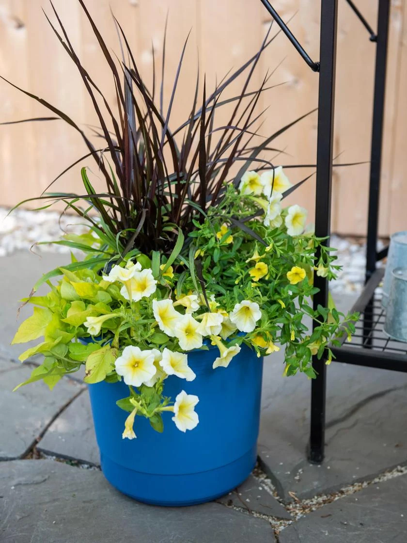 Eezy Gro Self-Watering Planters 2 Eezy Gro Self-Watering Planters - Image 2