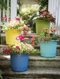 Eezy Gro Self-Watering Planters 11 Eezy Gro Self-Watering Planters -Gardeners Sale Shop 8596427 8090 tif