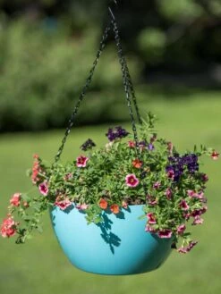 Viva Self-Watering Hanging Basket, 14" Diameter -Gardeners Sale Shop 8596442 0859 tif