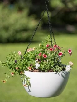 Viva Self-Watering Hanging Basket, 14" Diameter -Gardeners Sale Shop 8596442 0864 tif