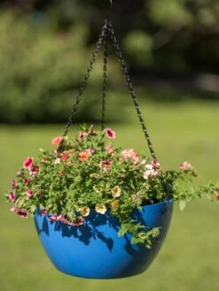 Viva Self-Watering Hanging Basket, 14" Diameter -Gardeners Sale Shop 8596442 0876 tif