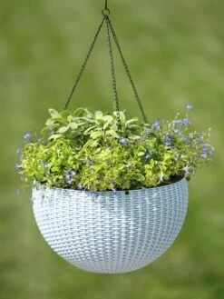 Weave Self-Watering Hanging Basket, 14" -Gardeners Sale Shop 8596490 10307 tif
