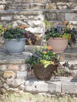 Mazzano Self-Watering Planters -Gardeners Sale Shop 8596563 4899 tif