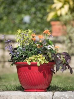 Mazzano Self-Watering Planters -Gardeners Sale Shop 8596564 4883 tif