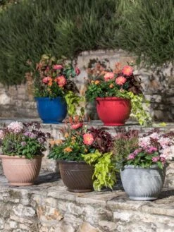 Mazzano Self-Watering Planters -Gardeners Sale Shop 8596570 4963 tif