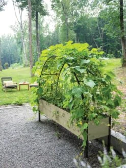 Eco-Stained Elevated Planter Box, 2'x8' -Gardeners Sale Shop 8596760 0046 tif 1