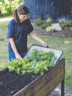 Pop-Up Crop Protector -Gardeners Sale Shop 8596763 EasyCropProtector gif