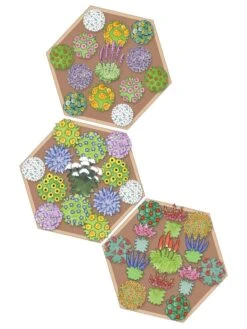 Pollinator Garden Bed -Gardeners Sale Shop 8597000 Hummingbird Plan tif