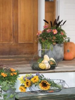 Galvanized Rim Planters -Gardeners Sale Shop 8597379 1625 tif