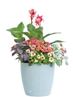 Weave Self-Watering Round Planter, 14" -Gardeners Sale Shop 8597388 2175 tif