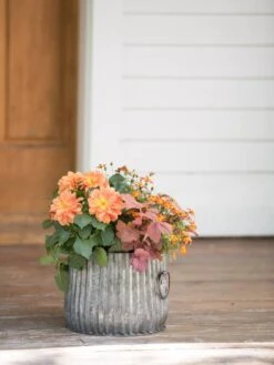 Galvanized Ribbed Planters -Gardeners Sale Shop 8597434 1695 tif