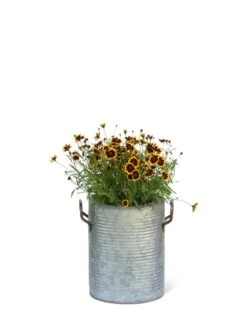 Galvanized Rim Planters -Gardeners Sale Shop 8597442 1705 tif