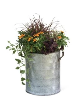 Galvanized Rim Planters -Gardeners Sale Shop 8597443 1704 tif