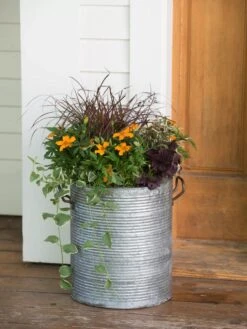 Galvanized Rim Planters -Gardeners Sale Shop 8597443 1708 tif