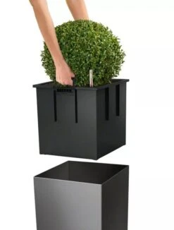 Lechuza® Cube Premium Planters -Gardeners Sale Shop 8597506 04V tif